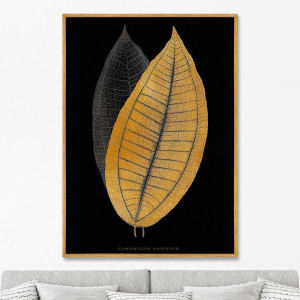 90603659 Репродукция картины на холсте "Calophyllum inophyllum leaf. 1865г" 75x105 см STLM-0302611 КАРТИНЫ В КВАРТИРУ