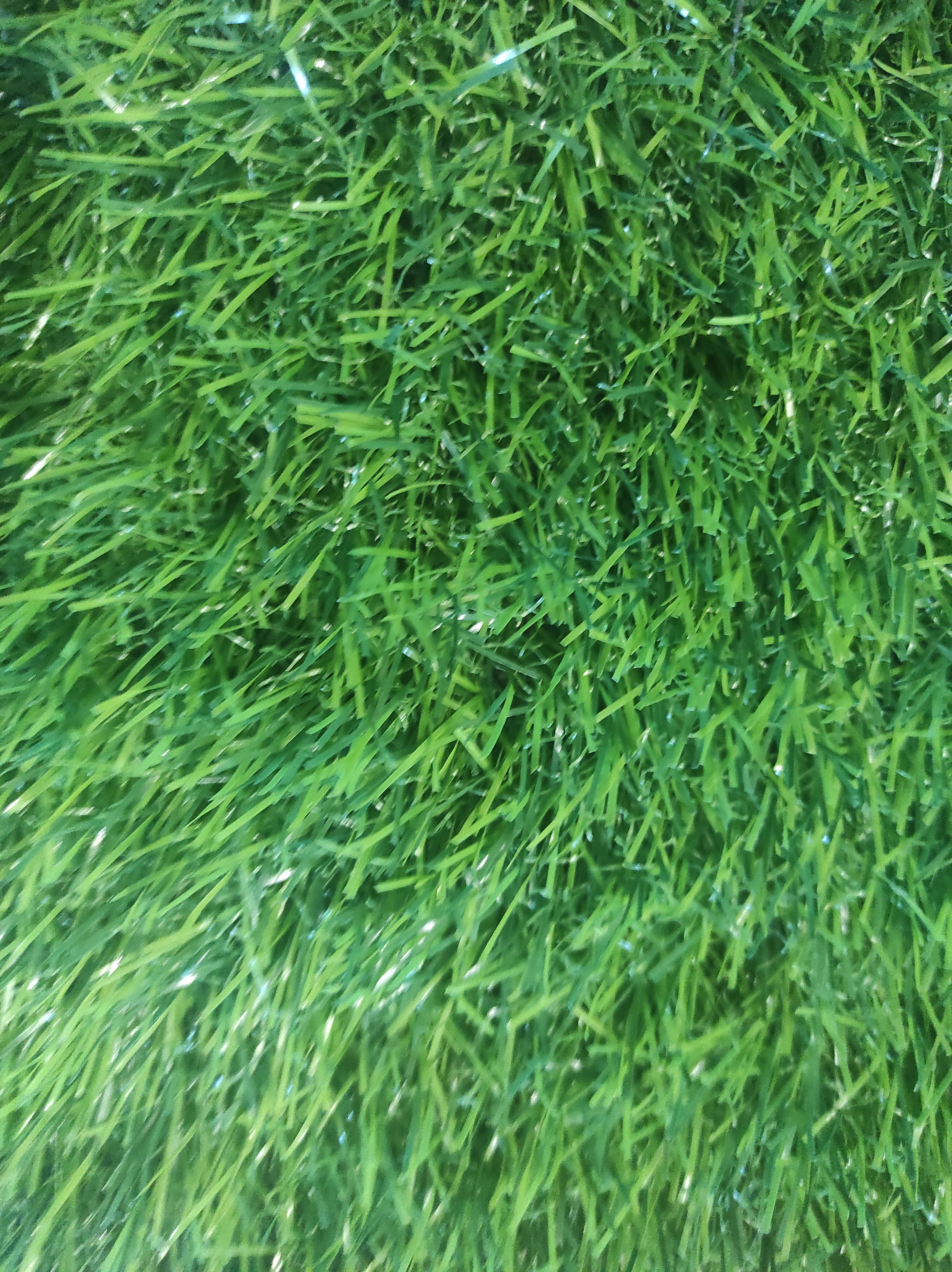 91090055 Искусстенный газон BHEP-20 толщина 20 мм 2x30 м (рулон) цвет зелёный STLM-0478661 PRETTIE GRASS