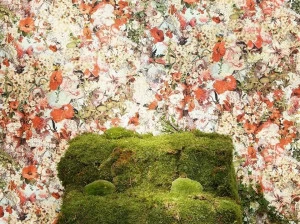 LELIEVRE Обои из виниловой ткани с цветочными мотивами Jean paul gaultier - un monde parfait 3330