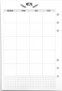 548609 Бумага для ежедневника "Месяц" А5, 45 листов, 6 отверстий Fancy Planner