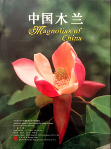 568250 Magnolias of China Pace