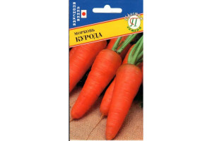 19650486 Морковь Курода-шантенэ 00003255 Престиж-Семена