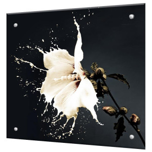 90679206 Защитный экран Молочный цветок 60x60x0.4 см закаленное стекло цвет черный/белый STLM-0335229 BORNTOPRINT