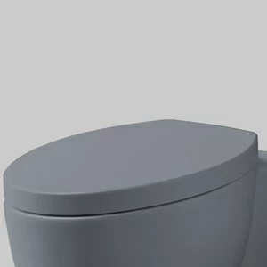 CPVCUTF-BR Крышка сиденье для унитаза Ceramica Cielo