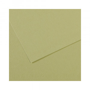 200321164 Бумага для пастели Mi-Teintes 160 г/м2 50 х 65 см лист №480 светло-зеленый Canson
