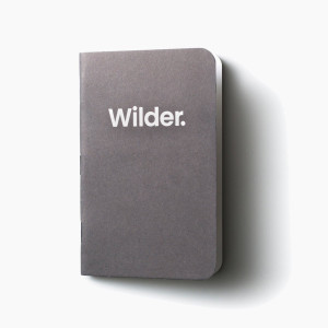 WIL906DOT Карманный блокнот Wilder (3 шт.) — в горошек Wingback