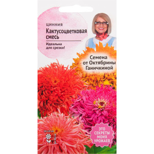 Цинния кактусоцветковая смесь окрасок 0.3 г СЕМЕНА ОТ ОКТЯБРИНЫ ГАНИЧКИНОЙ
