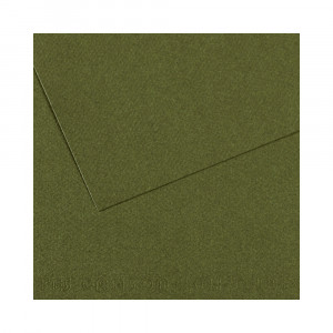 200331457 Бумага для пастели Mi-Teintes 160 г/м2 75 х 110 см лист №448 плющ Canson