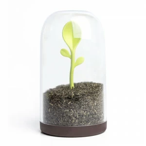 Банка для сыпучих продуктов прозрачная Sprout Jar QUALY  00-3871015 Коричневый