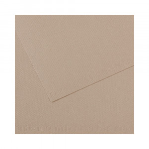 200321367 Бумага для пастели Mi-Teintes 160 г/м2 75 х 110 см лист №122 серый фланель Canson