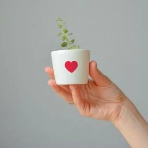 Набор для выращивания Eco мини-кашпо «Сердце»