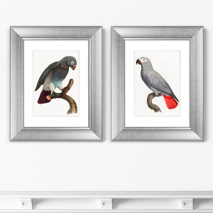 91277993 Картина «» Диптих Beautiful parrots №2, 1872г. (из 2-х картин) STLM-0532648 КАРТИНЫ В КВАРТИРУ