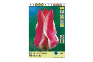 18441883 Луковица Тюльпан Пиноккио 11/12 розовый, 5 шт. 12041 HBM