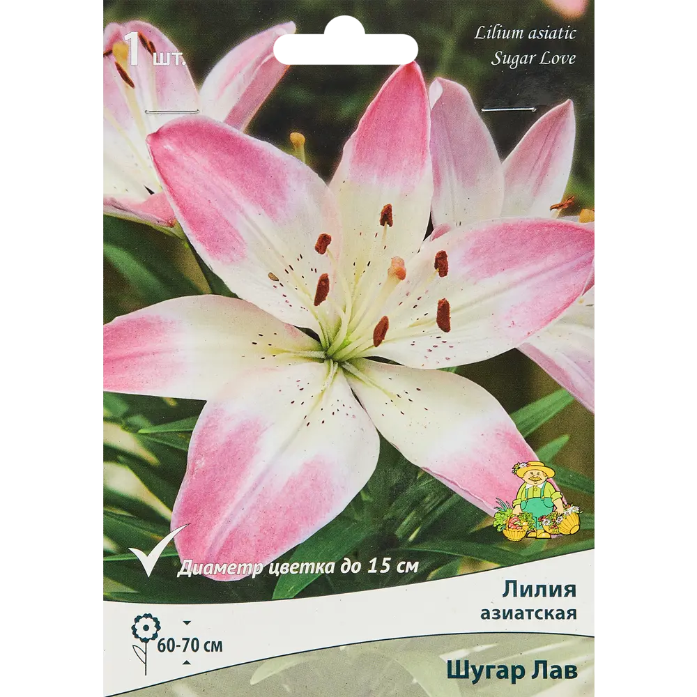 Лилия азиатская Шугар Лав 89351841 STLM-2165418 ПОИСК 