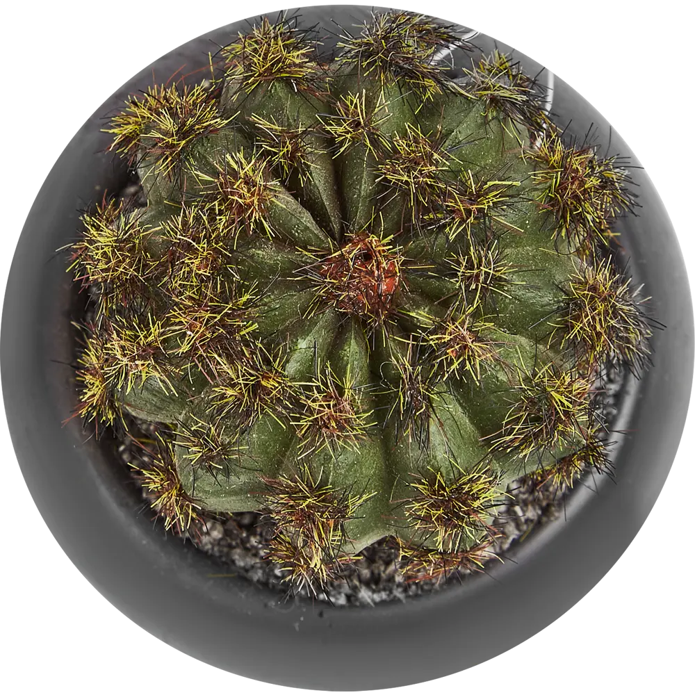Искусственное растение в пластиковом горшке Atmosphera Кактус D6.3x11.5 см микс STLM-2119665 - Вид №1