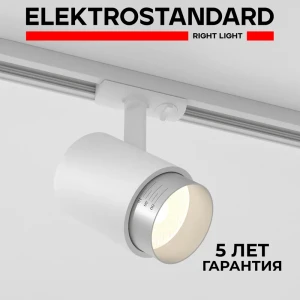 Трековый светильник ELEKTROSTANDARD 85513/01 Cors светодиодный 10 Вт однофазный цвет серебро