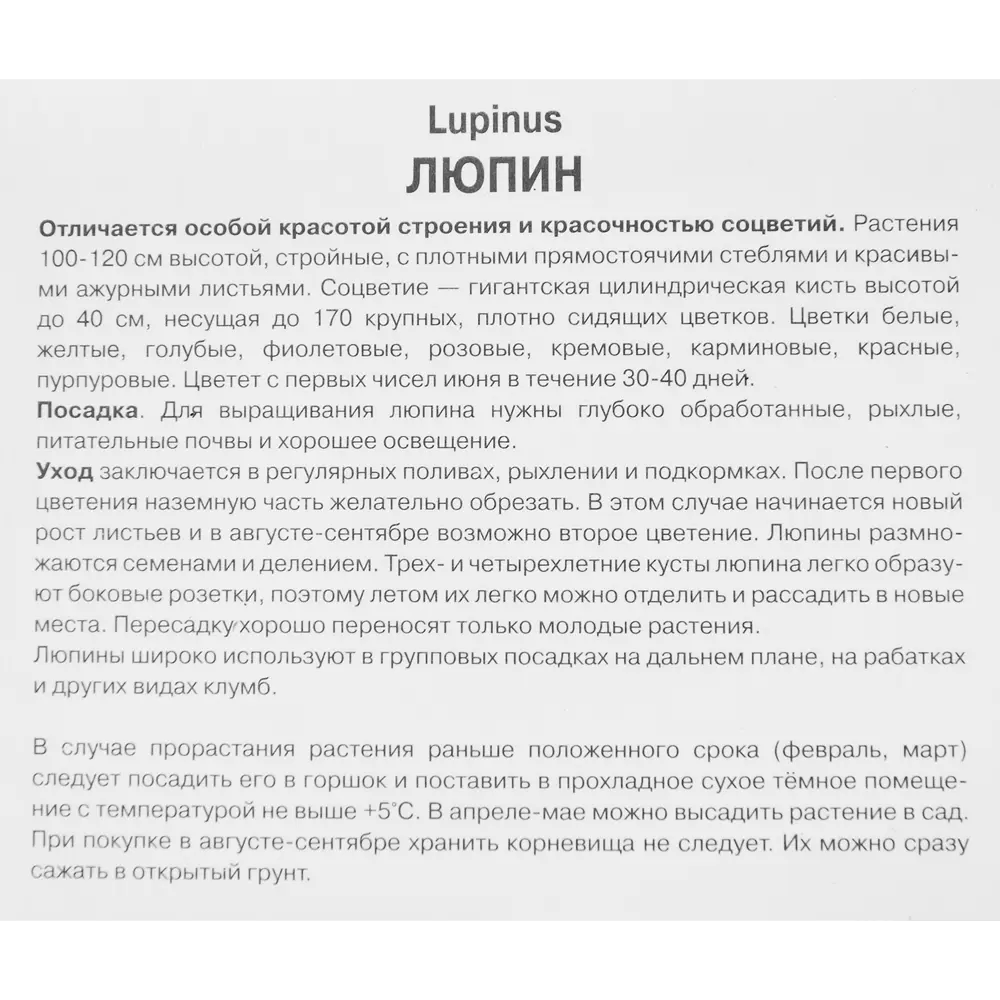 Люпин многолистный Шандэлье 86410479 STLM-2006929 ПОИСК  - Вид №2