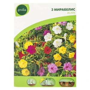 Мирабилис Geolia Jalape No.II 15550638 STLM-2017395