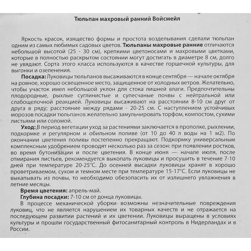 Тюльпан «Войсмейл» размер луковицы 12, 5 шт BLOOMING LIFE STLM-2165440 - Вид №2