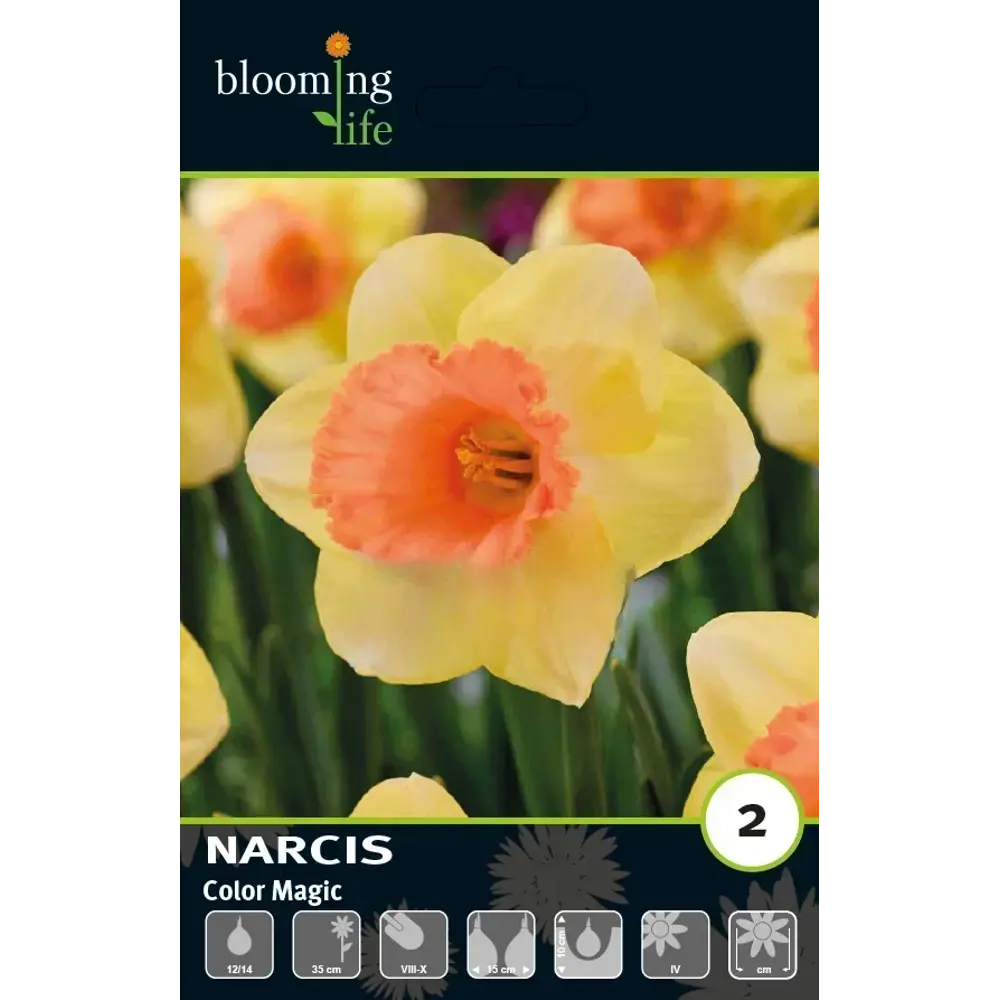 Луковицы нарцисса Колор Меджик 12/14 - многолетние цветущие растения 89432922 Santreyd STLM-1579470