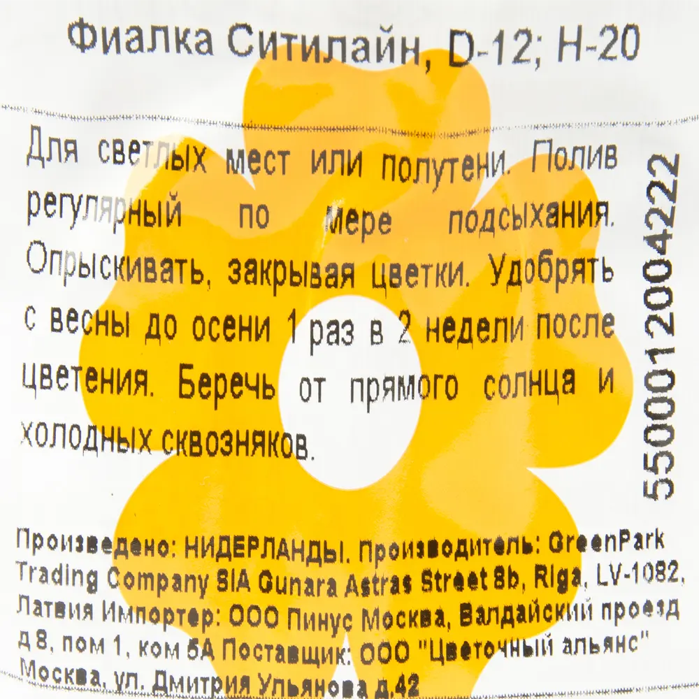 Фиалка Ситилайн 12х20 см 12193006 STLM-2007731 Santreyd  - Вид №2