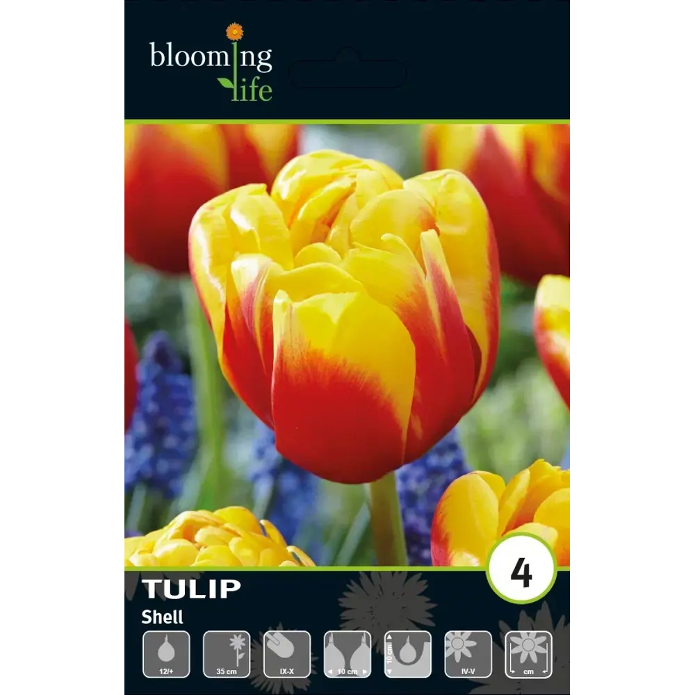 Луковицы тюльпана махрового раннего Шелл 12 шт - золотистые многолетние цветы 89433027 Santreyd STLM-1582719