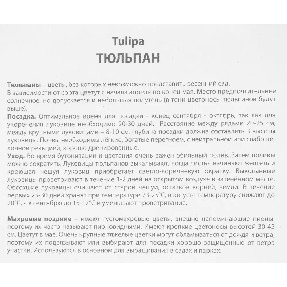 Тюльпан махровый поздний Драмлайн Люкс, 5 шт 85205615 STLM-2141160 ПОИСК  - Вид №2