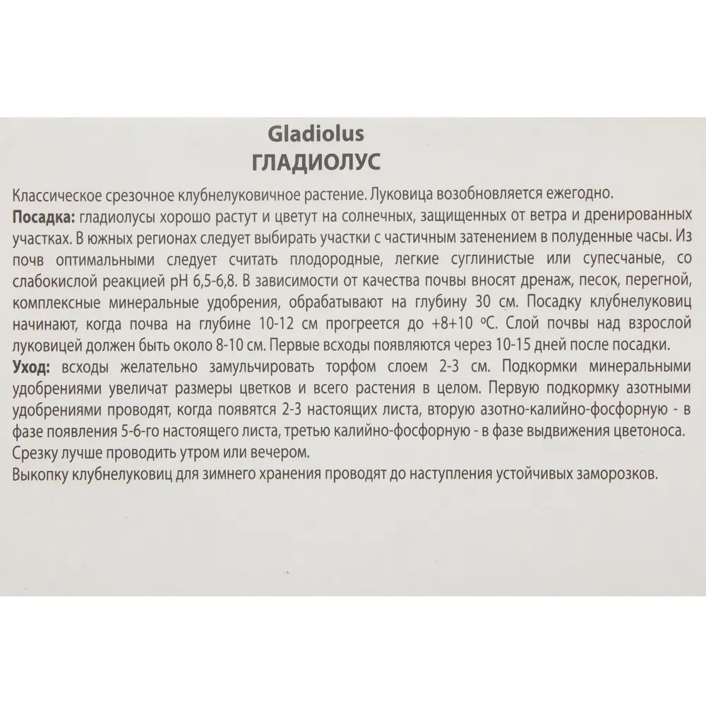 Гладиолус крупноцветковой «Блу Айл» 81945433 STLM-2035248 ПОИСК  - Вид №2
