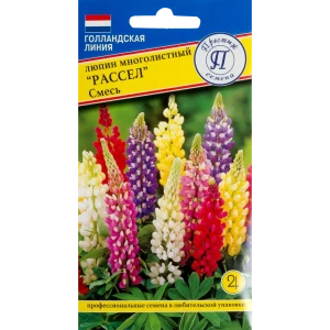 Люпин многолистный «Рассел» смесь окрасок