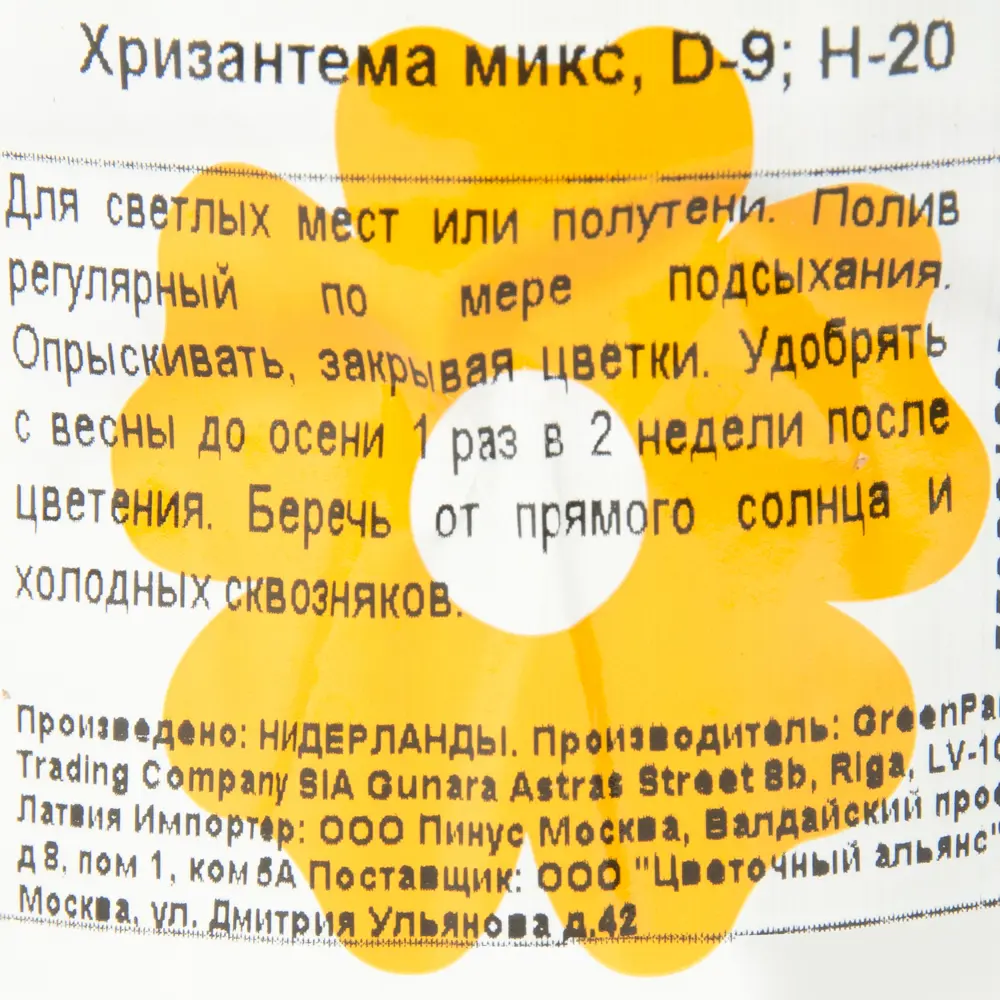 Хризантема микс 9х20 см 12193049 STLM-2206326 Santreyd  - Вид №2