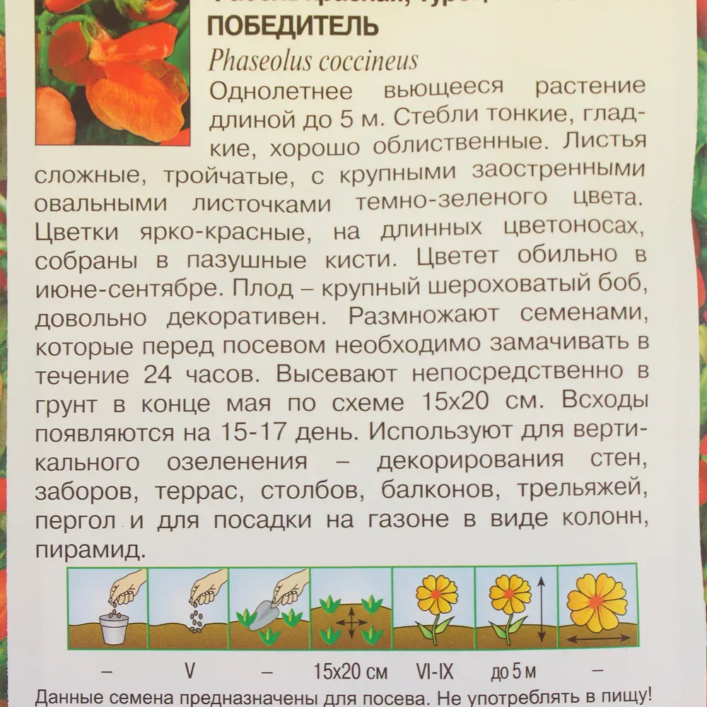 ГАВРИШ Декоративная фасоль «Победитель» для вертикального озеленения 81933422 STLM-0962384 - Вид №2