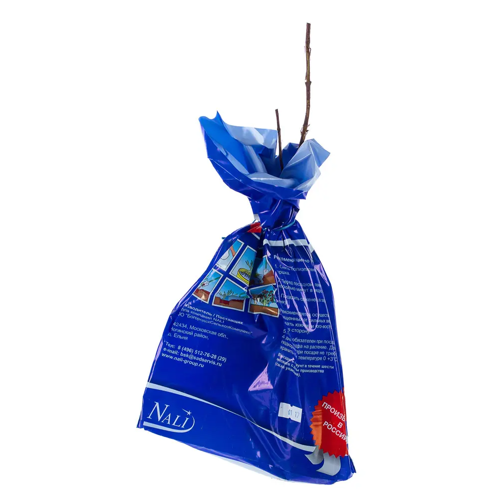 Жимолость сьедобная Синяя птица (пакет) Santreyd STLM-2047061 - Вид №1