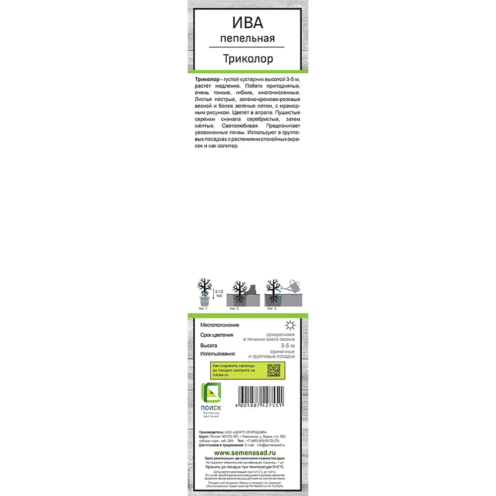 Ива пепельная Триколор ø5 h37 см 89452182 STLM-2132011 Santreyd  - Вид №1