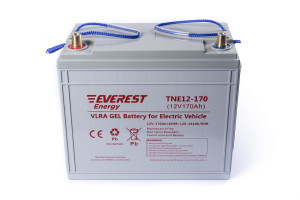 17376744 Тяговая аккумуляторная батарея TNE 12-170 EVEREST Energy
