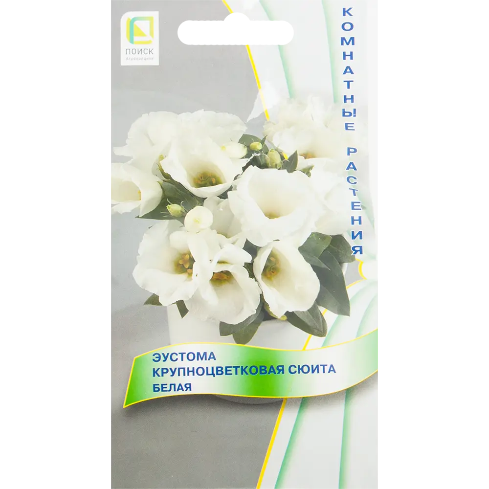 Эустома «Сюита» белая от ПОИСК - изящный комнатный цветок 82424772 STLM-1575218