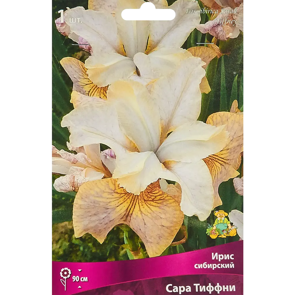 Ирис сибирский Сара Тиффни от ПОИСК — изящное украшение сада 86410661 STLM-1569957