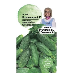 Семена Огурец «Вязниковский 37»
