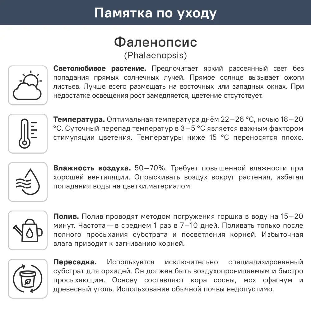 Фаленопсис микс ø12 h40 - 75 см 89434516 STLM-2066236 Santreyd  - Вид №8