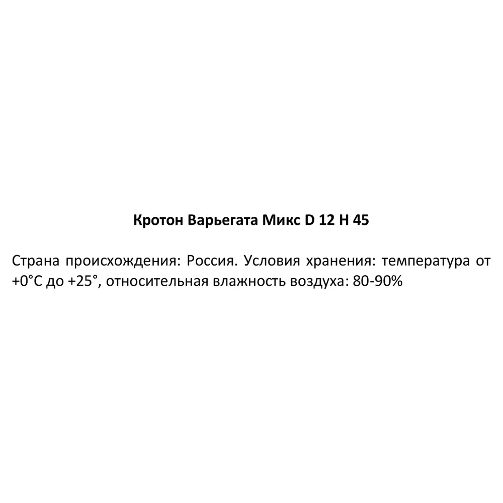 Кротон Варьегата Микс ø12 h45 см 89336272 STLM-2088608 Santreyd  - Вид №3