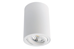 16269190 Потолочный светильник A1560PL-1WH ARTE LAMP