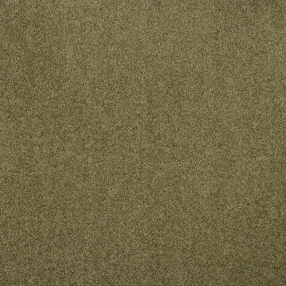 Ковровое покрытие «Флорида», 3.5 м, цвет светло-оливковый ЗАРТЕКС STLM-2078874