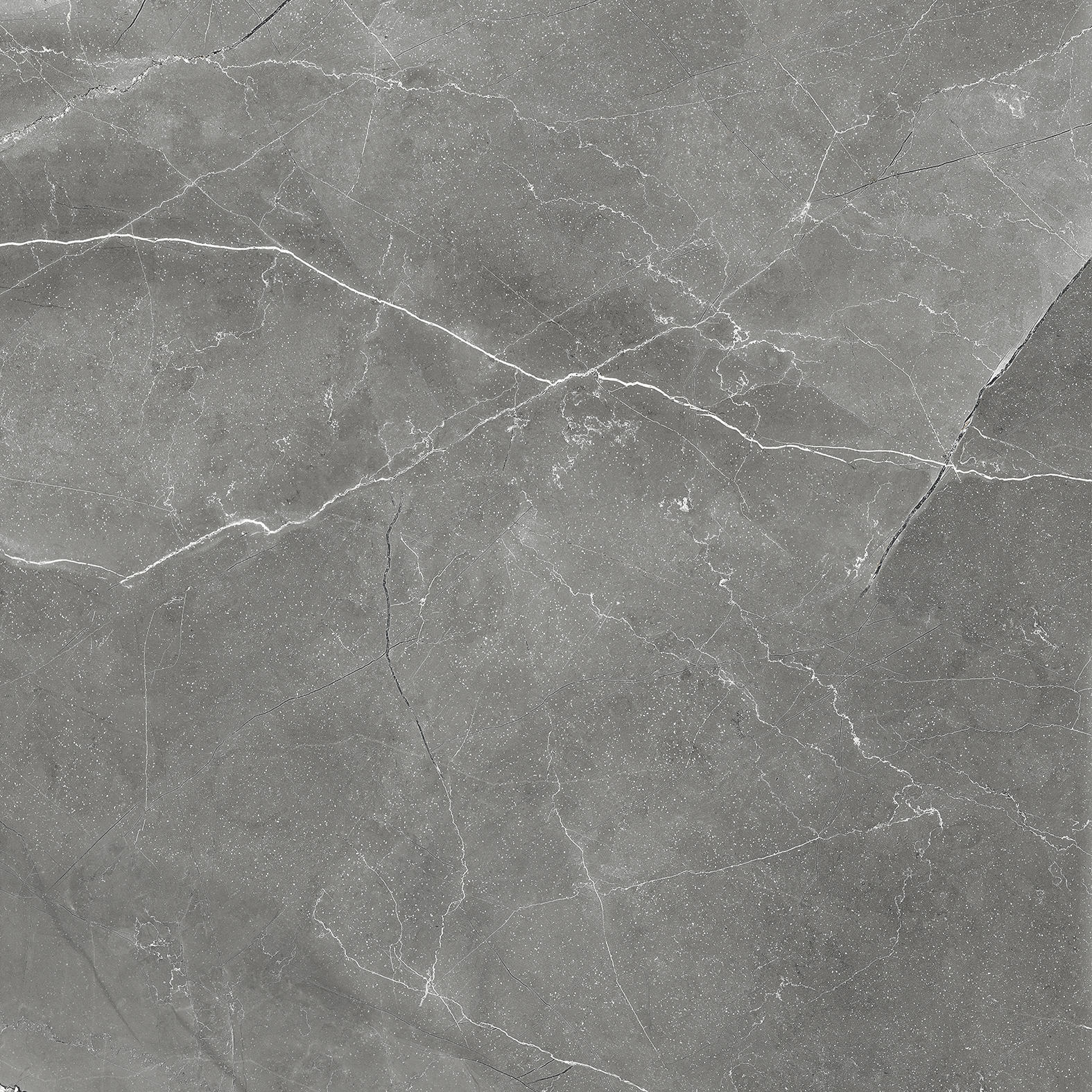 Керамогранит PULPIS NERO 60х60 Arcadia Ceramica CR6011-A  - Вид №8