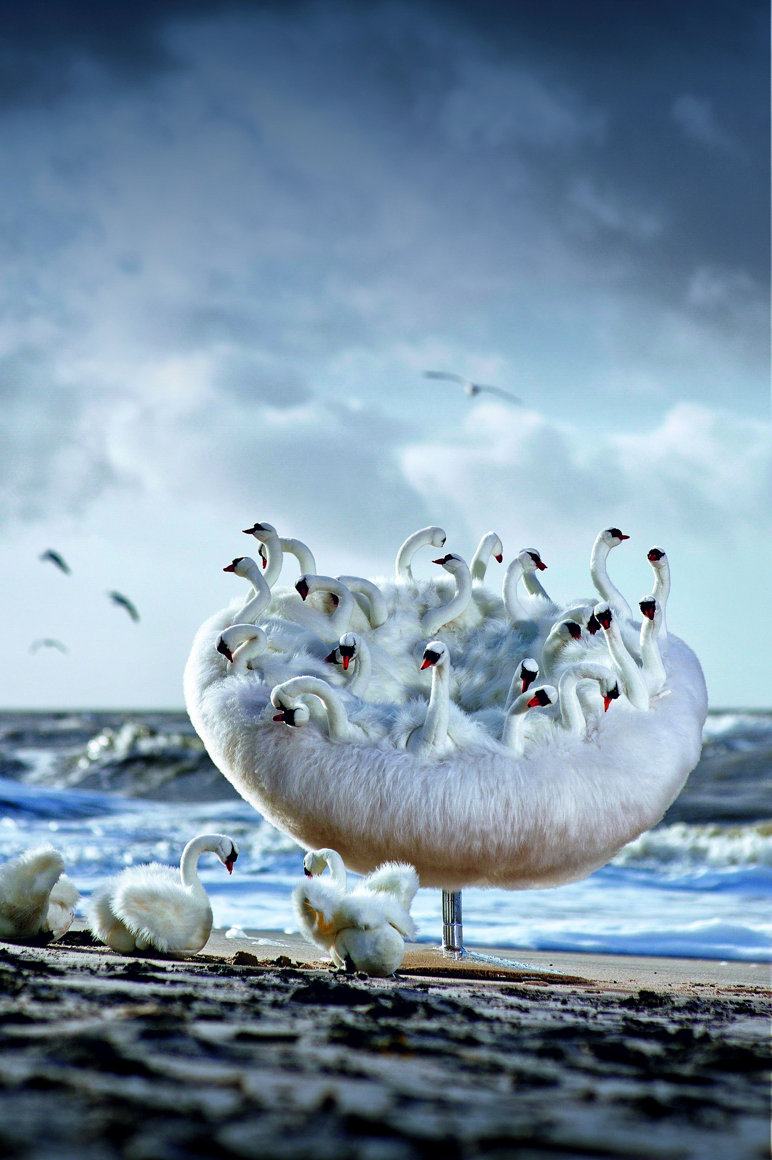 Полиэфирное кресло APCOLLECTION Swan ARCH-00019481 - Вид №2