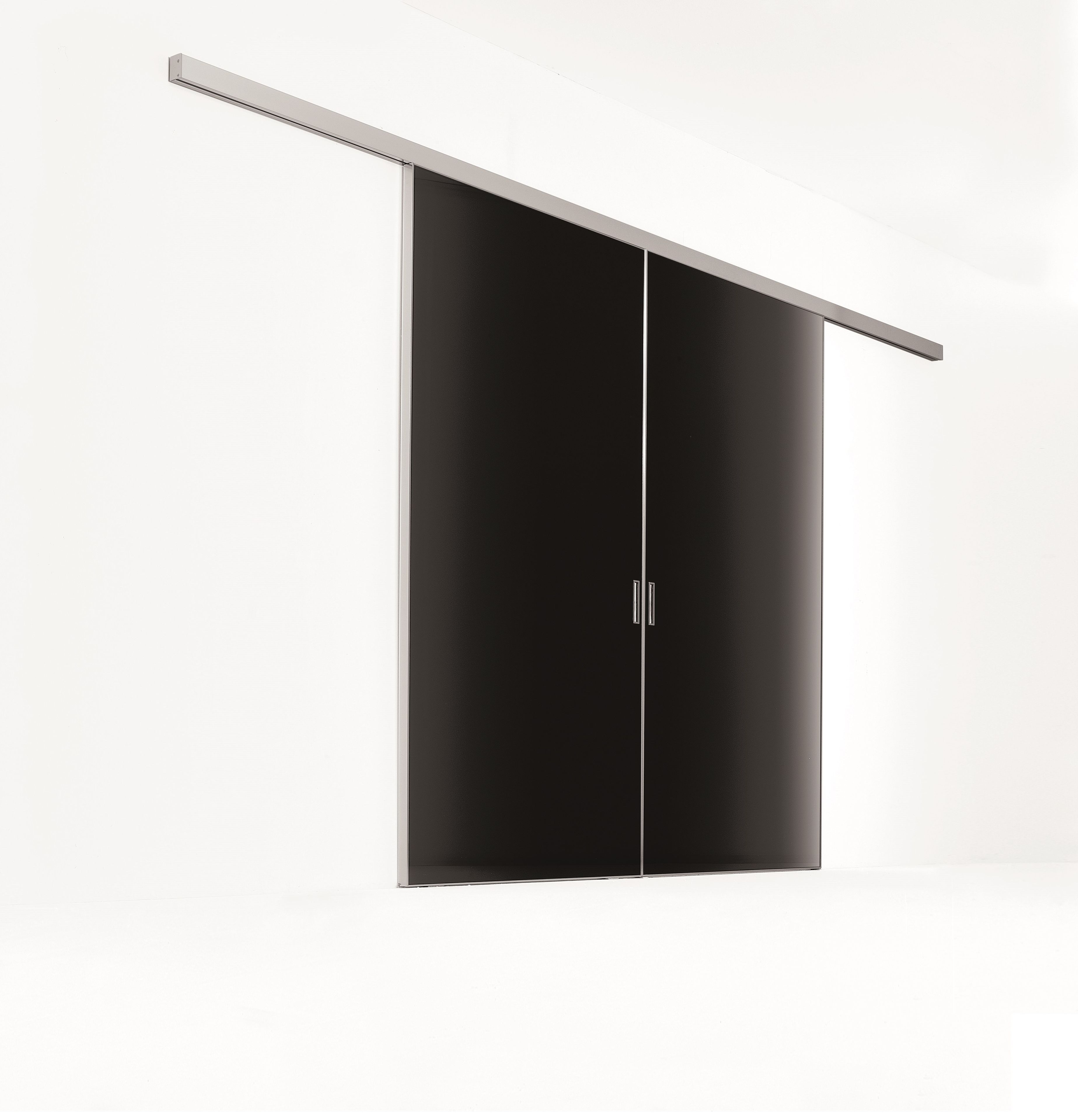 Стеклянная дверь ALBED ARCH-00056484 - Вид №2