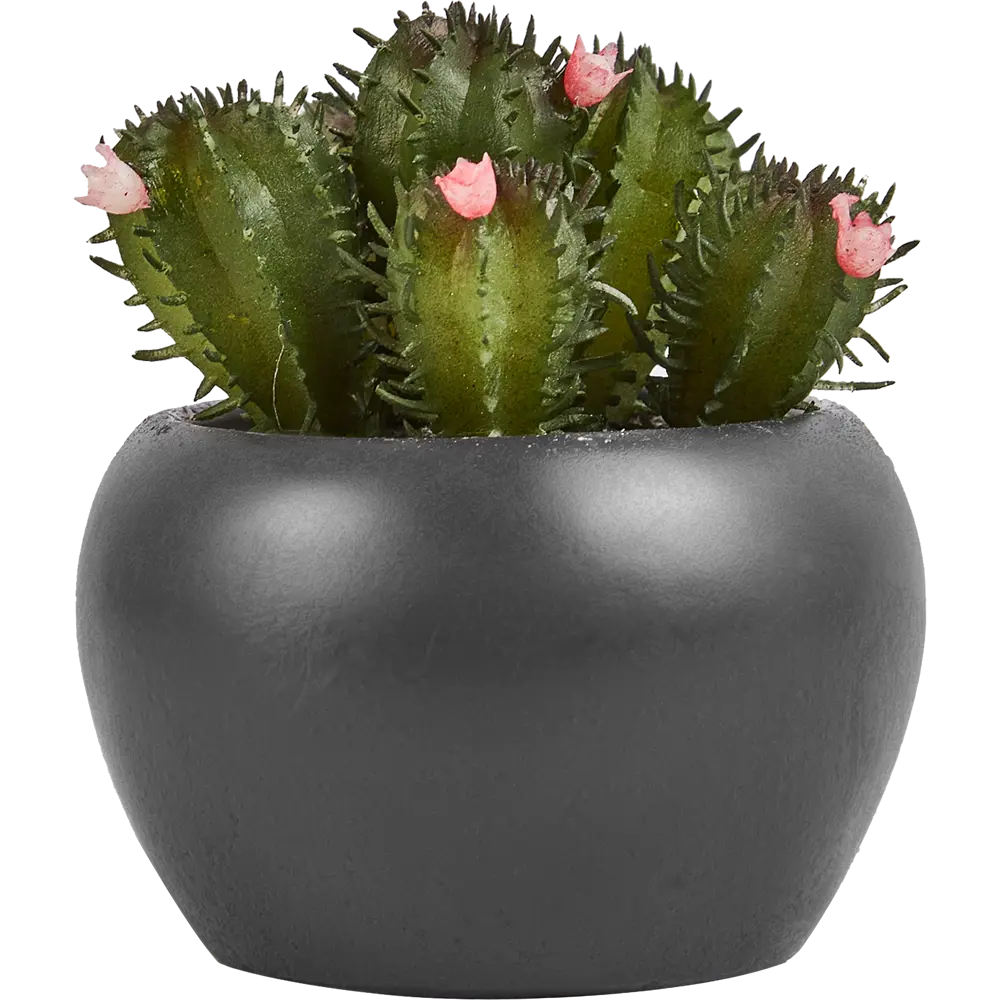 Искусственное растение в пластиковом горшке Atmosphera Кактус D6.3x11.5 см микс STLM-2119665 - Вид №8
