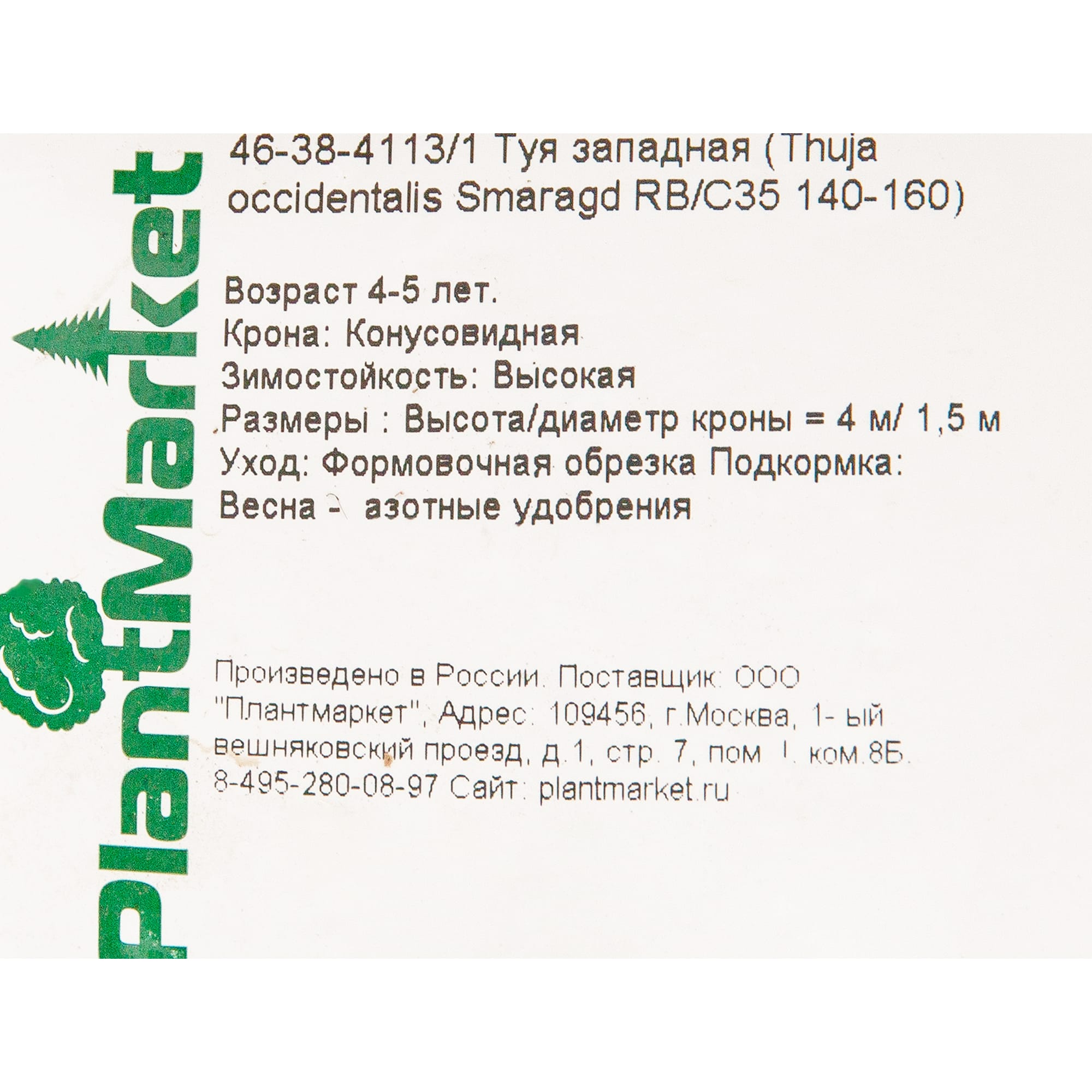 82625363 Туя западная «Смарагд» 40x140-160 см Santreyd  - Вид №1