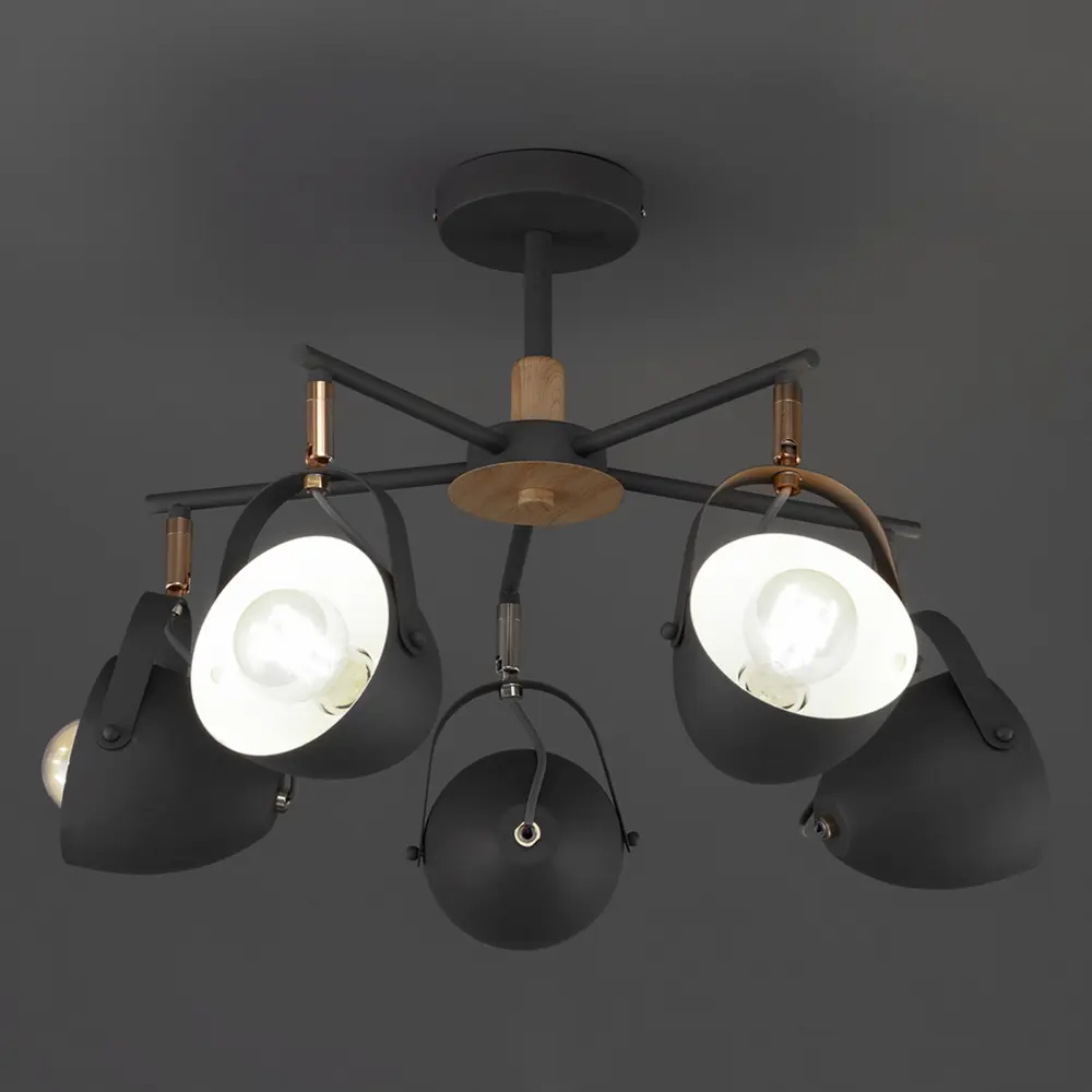 Люстра потолочная Надин, 5 ламп, 15 м², цвет серый WINK STLM-2013318 - Вид №1