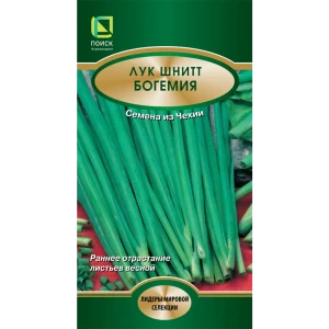 Семена лука шнитт Богемия для выращивания свежей зелени 89401248