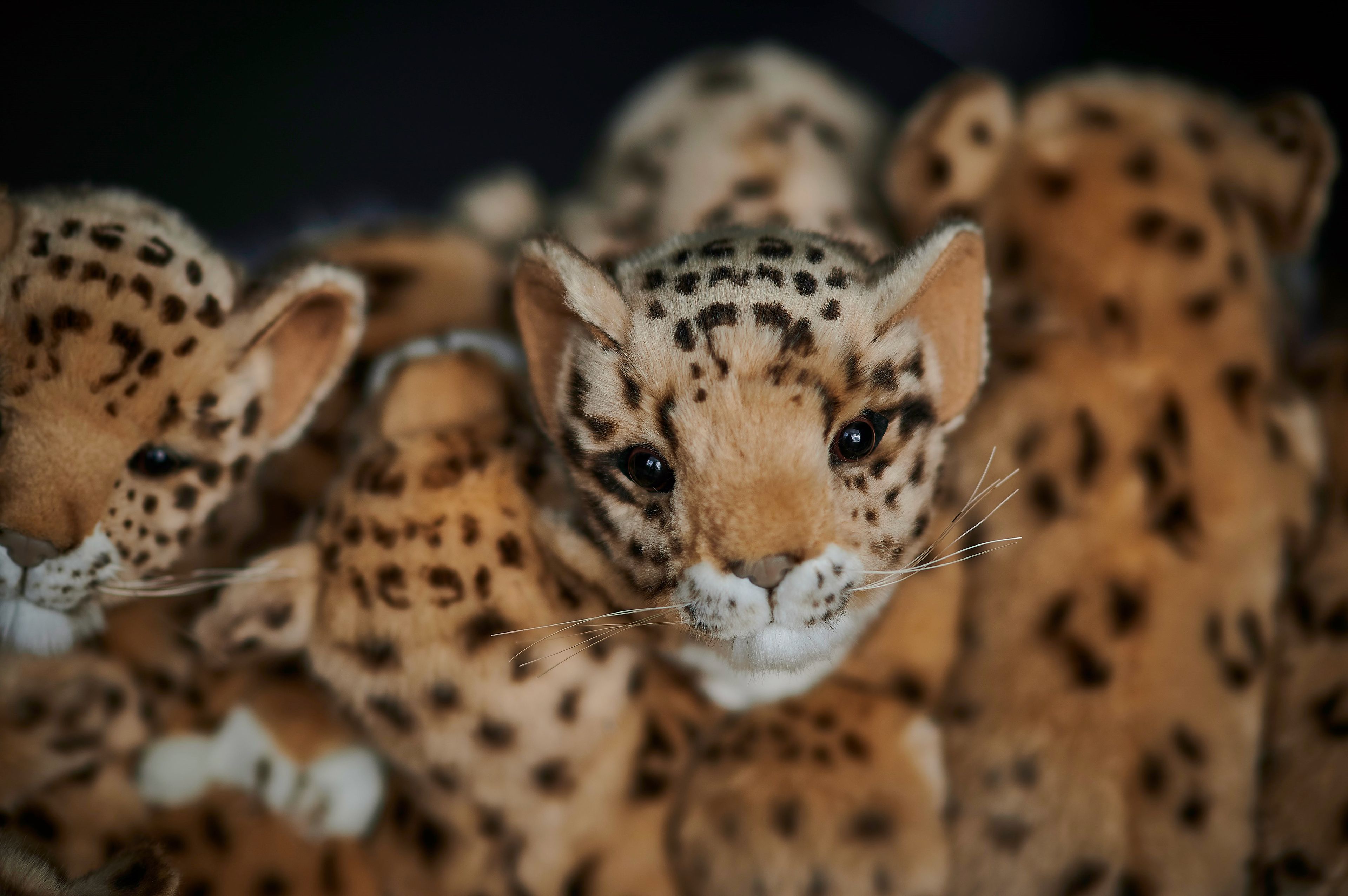 Стул из полиэстера APCOLLECTION Leo ARCH-00127524 - Вид №11