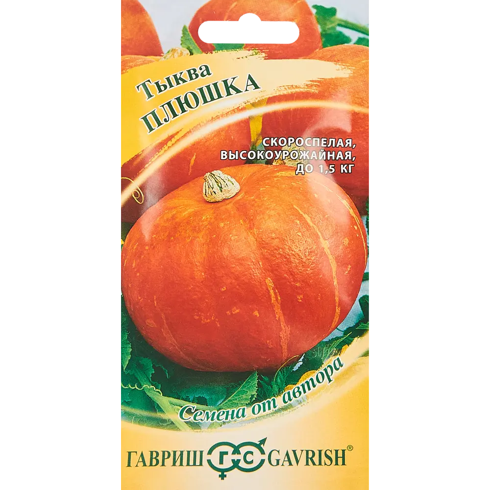 Семена фруктов Гавриш тыква Плюшка STLM-2054456